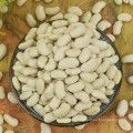 New Crop Natural Dried White Kidney Beans